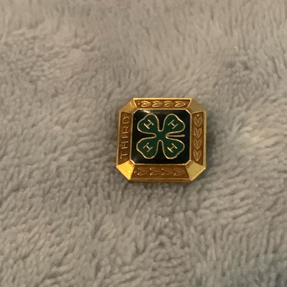 Vintage 4h pin